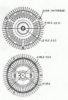 BUGIAD BFC015 Clutch, radiator fan